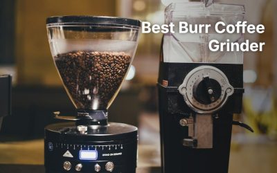 Best Burr Coffee Grinder: 6 Conical and Flat Burr Grinders Compared